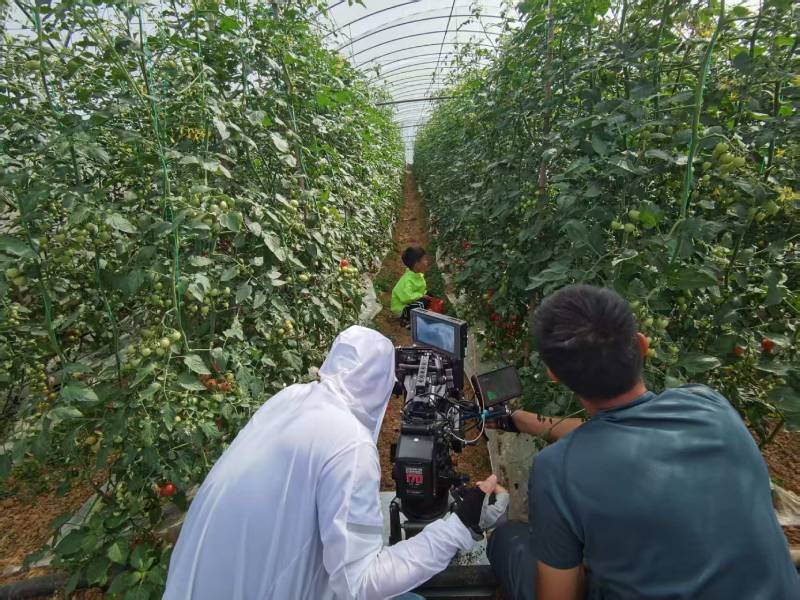 江苏产品宣传视频拍摄公司进阶指南，助力品牌抢占传播高地